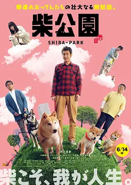 日韩精品高清自在线