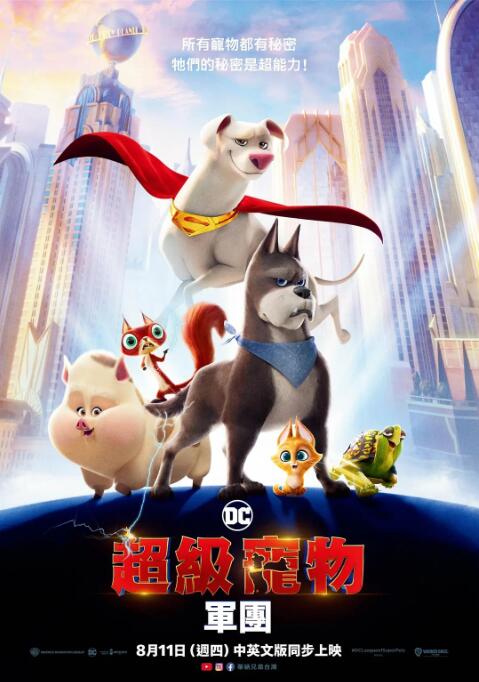 成年人在线播放视频
