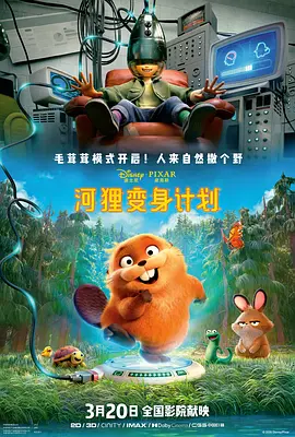 华人8x8x
