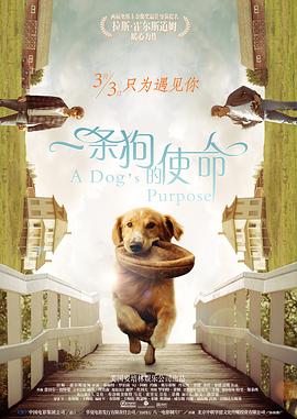 丰满少妇高潮颤抖15秒