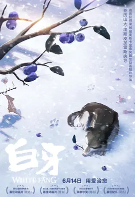 邻家大贱谍 下载