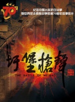 亚洲精品无播放器在线看观看