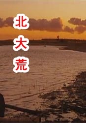 被强禁的清纯美人的绝顶