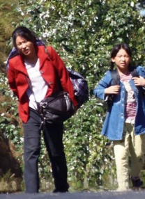 灯草花尚灯国语高清剧情介绍